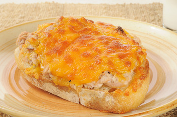 Tuna melt closeup