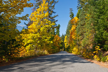 Fototapeta premium Fall Country Road