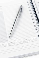 Pen on diary