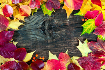 Autumn leaves are laid out in a frame on an old wooden table.