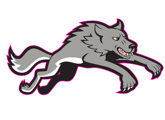 Gray Wolf Wild Dog Jumping Attacking