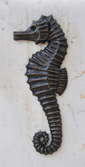 seahorse © aysun ozcan