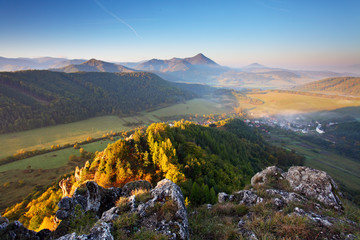 Mountain summer landscape with colorful forest