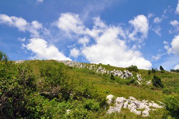 Fototapeta na wymiar Monte Matajur, Mountain w Alpach Julijskich w Słowenii