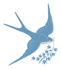 blue swallow
