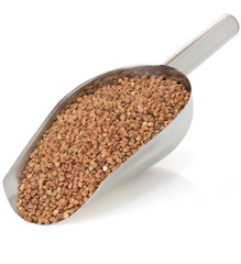 buckwheat on white
