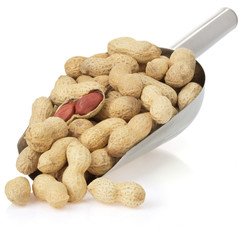 nuts peanuts isolated on white