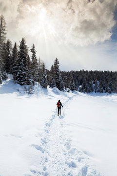 trekking con racchette da neve