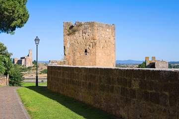 Fortified walls. Tuscania. Lazio. Italy.