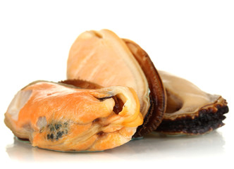 Mussels isolated on white
