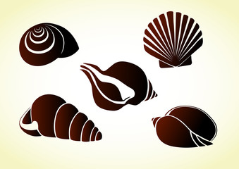 Shells
