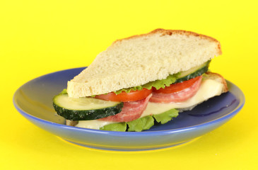 Sandwich on plate on yellow background