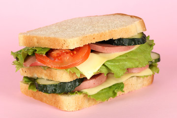 Sandwich on pink background