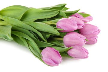 Beautiful bouquet of purple tulips, isolated on white