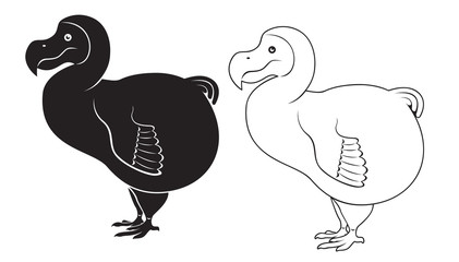 dodo © KVasay