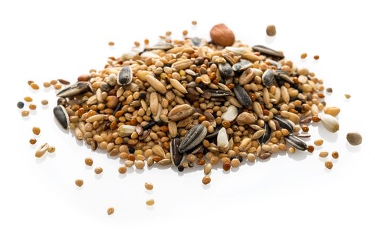 Fototapeta Mélange de graines pour perruches.