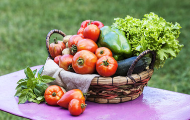 fresh vegetables on the table in the garden