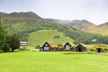 Obraz na płótnie Canvas Zarośnięte Typowe wiejskie domy na islandzkie pochmurny dzień