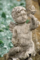 Fototapeta na wymiar cherub anioł