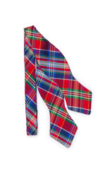 Checked male tie isolated on the white