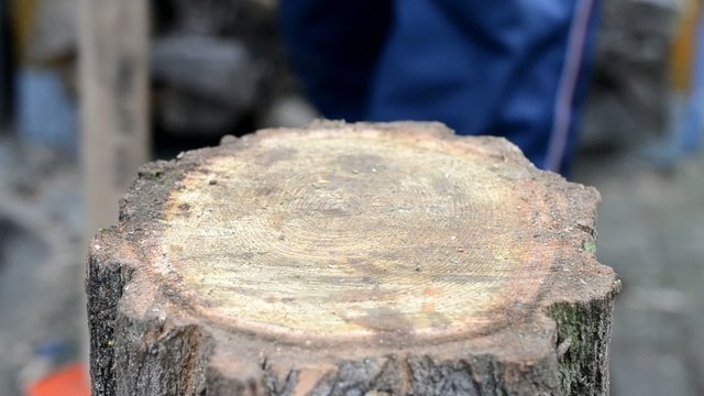 Brennholz machen