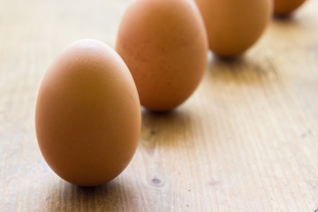 Egg