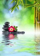 Obraz na płótnie Canvas Zen kamienie, różowy i bambusa w wodzie