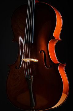 Violin in dark room  - music concept