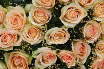 Fototapeta na wymiar pale pink wedding roses