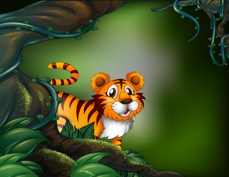 A rainforest with a tiger