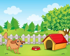  Een hond die binnen het hek speelt © GraphicsRF