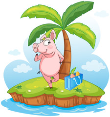 A pig in an island