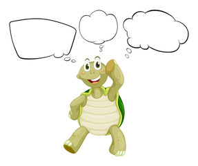 An old turtle thinking