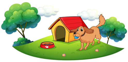 Naklejka premium A dog playing with a blue ball near a doghouse