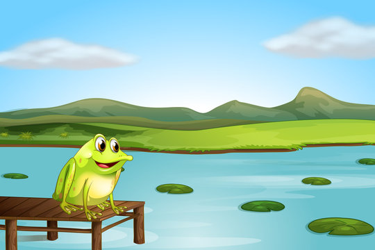 A frog above the wooden bridge