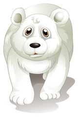Un ours polaire blanc géant