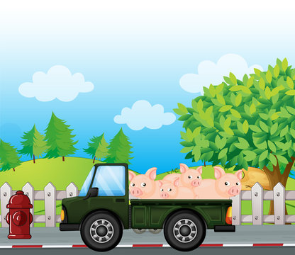 A green truck with pigs at the back