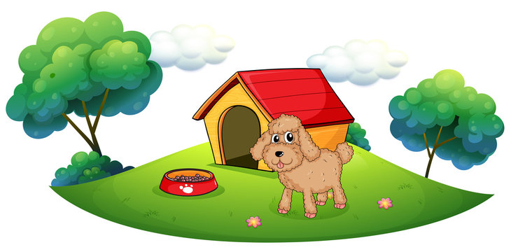 A brown puppy playing ouside the dog house