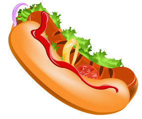 Delicious hot dog on a white background.Vector