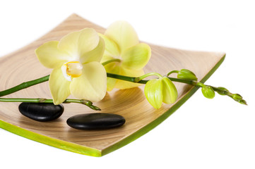 Spa concept: orchid and zen stones on a white background