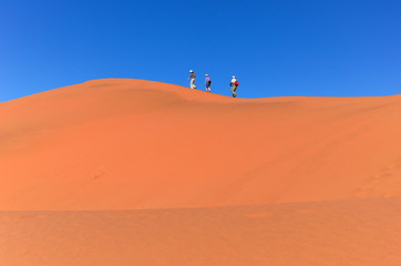 Fototapeta na wymiar Ludzie idący na wydmie na pustyni Namib, Republika Południowej Afryki