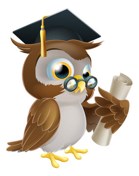 Owl with degree or qualification