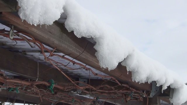 video schnee schmilzt I