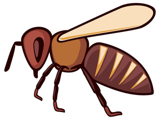 honey bee icon