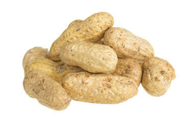 close up of peanut