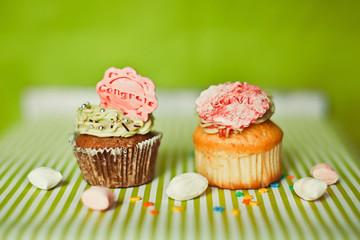Cupcakes on the green background