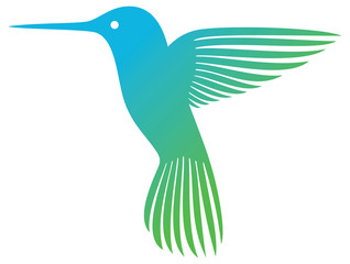 hummingbird (colibri)