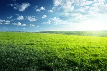 Gordijnen field of spring grass and forest © Iakov Kalinin