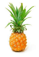 Fototapeta premium Ripe Pineapple Fruit