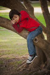 bambino arrampico sull'albero